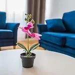 Nice * Σπλιτ