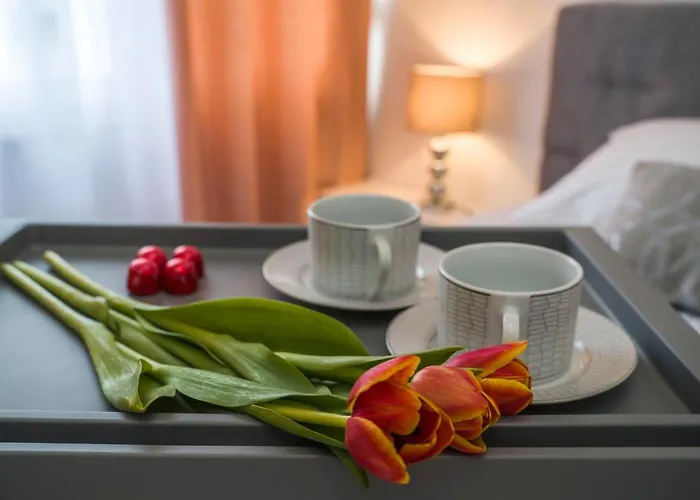 Nice 公寓 斯普利特