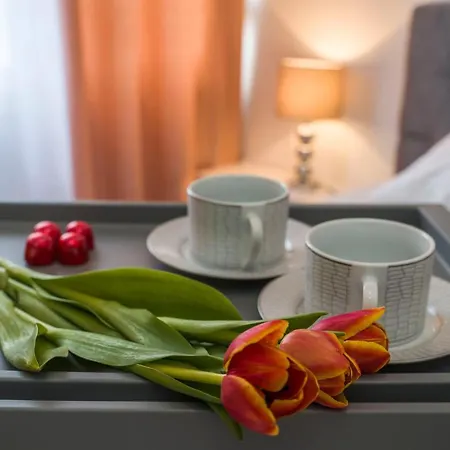 Nice Apartment Split